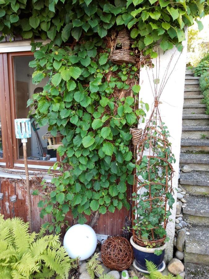 Ferienwohnung Rosa Muller Wangen im Allgäu Εξωτερικό φωτογραφία